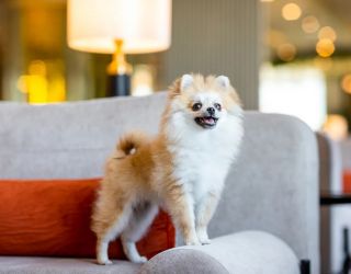 Отель "Rixos Krasnaya Polyana Sochi"